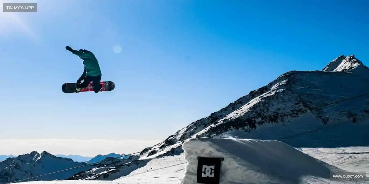 为什么选择我们